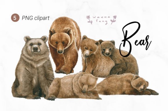 Bear Watercolor Animal Clipart: Brand Illustrations Review
