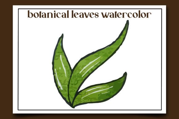 Botanical Leaves Watercolor-10: Illustrations for Branding
