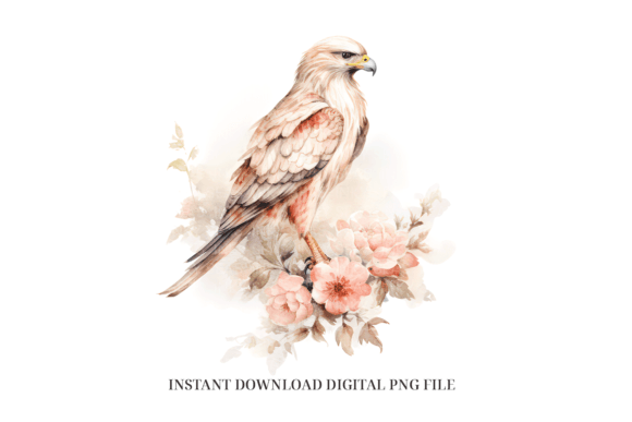 Buzzard Clipart PNG: Watercolor Illustrations for Branding