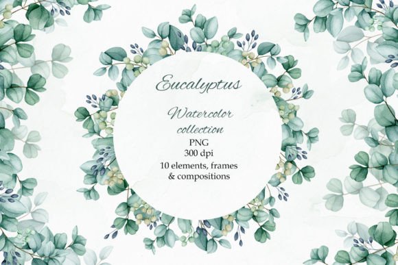 Eucalyptus Watercolor PNG Illustrations for Sellers