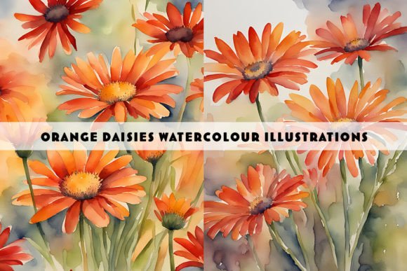 Orange Daisies Watercolour Duo: Illustrations for Branding