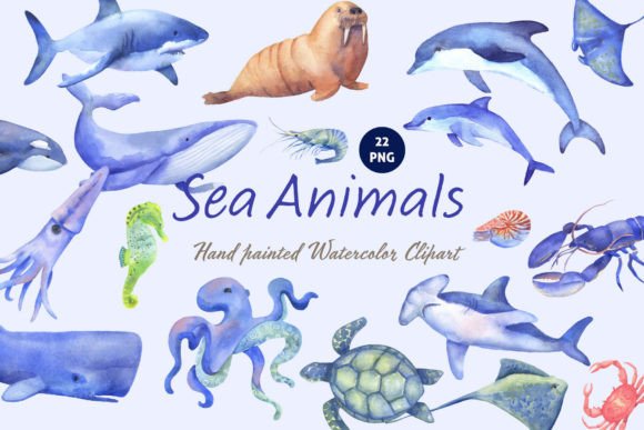 Sea Turtle Watercolor Clipart for Embroidery