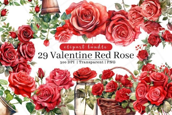 Valentine Red Roses Watercolor Clipart Illustrations Review