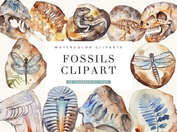 Watercolor Fossils Clipart Bundle: Editorial Illustrations