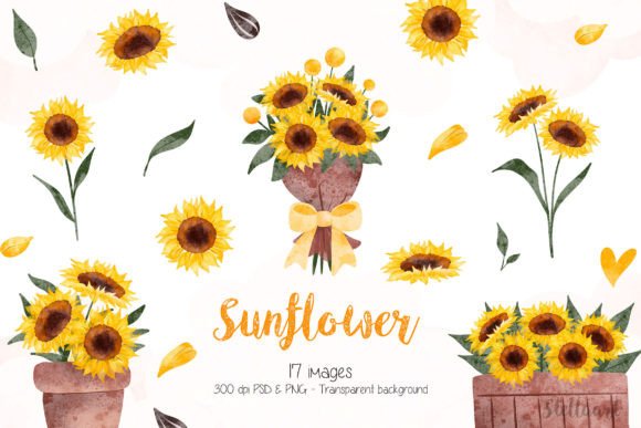 Watercolor Illustration Set of Sunflower for Brand Illustrations