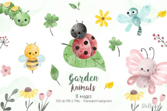 Watercolor Insect Illustrations for Brand Visuals